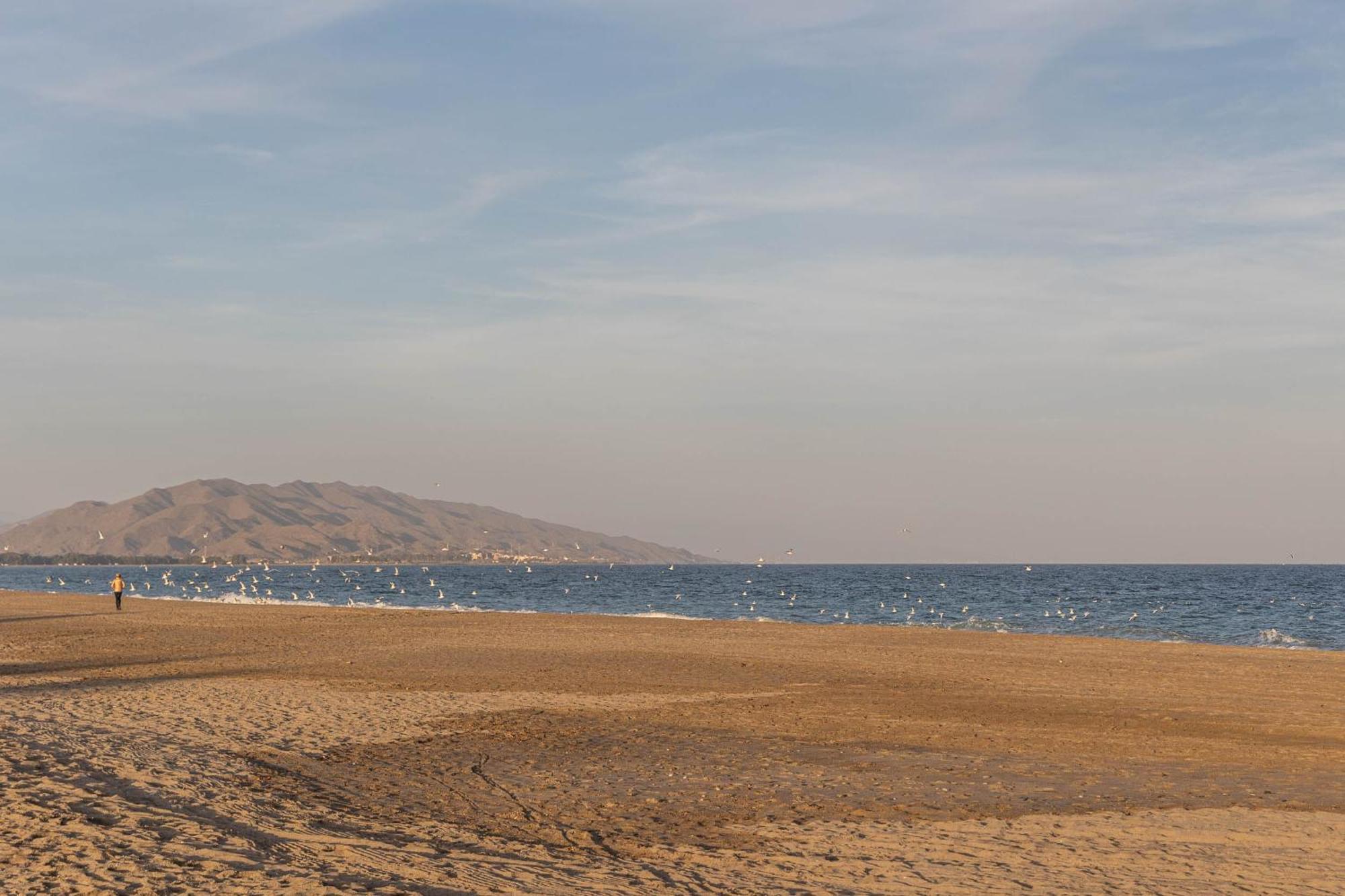 Chill-Out # Playa A 8Min # Netflix # Relax # Apartamento Appartement Vera